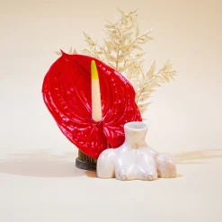 Anissa Kermiche Little Women Duo (Black, Marble) Best