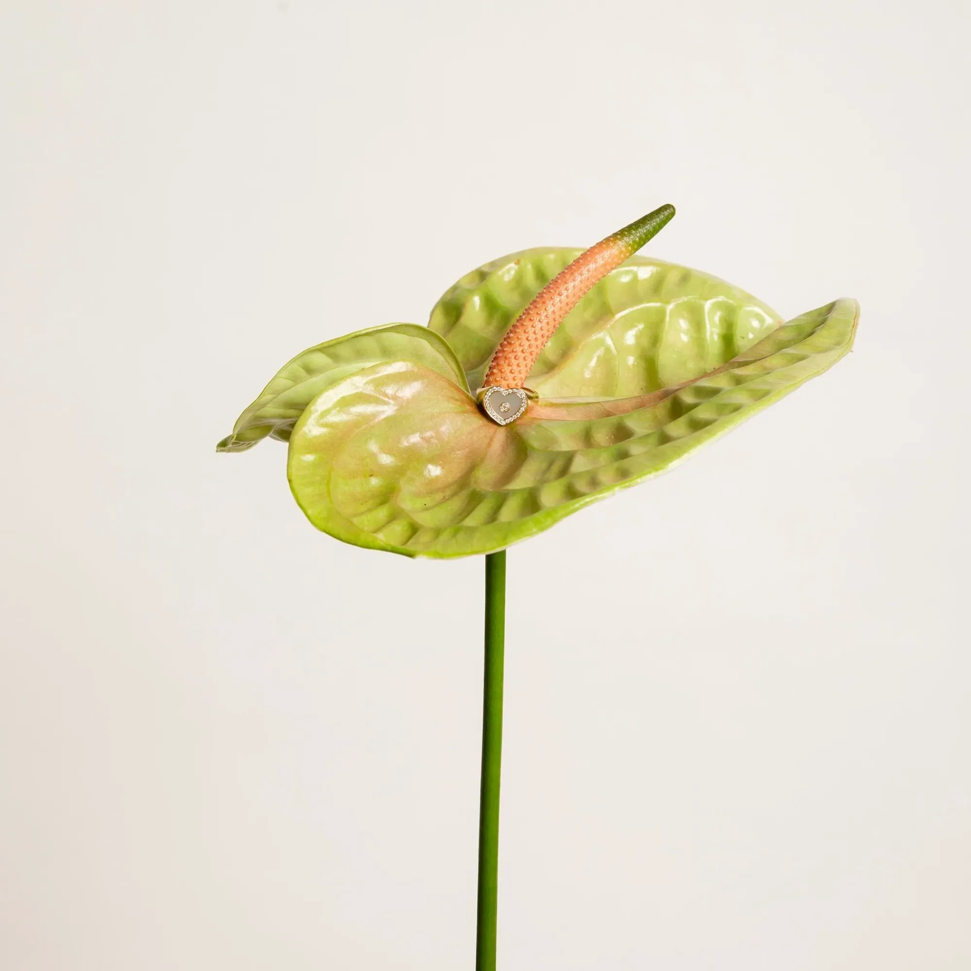 Anissa Kermiche Love Heart Mother Of Pearl Signet Ring Clearance