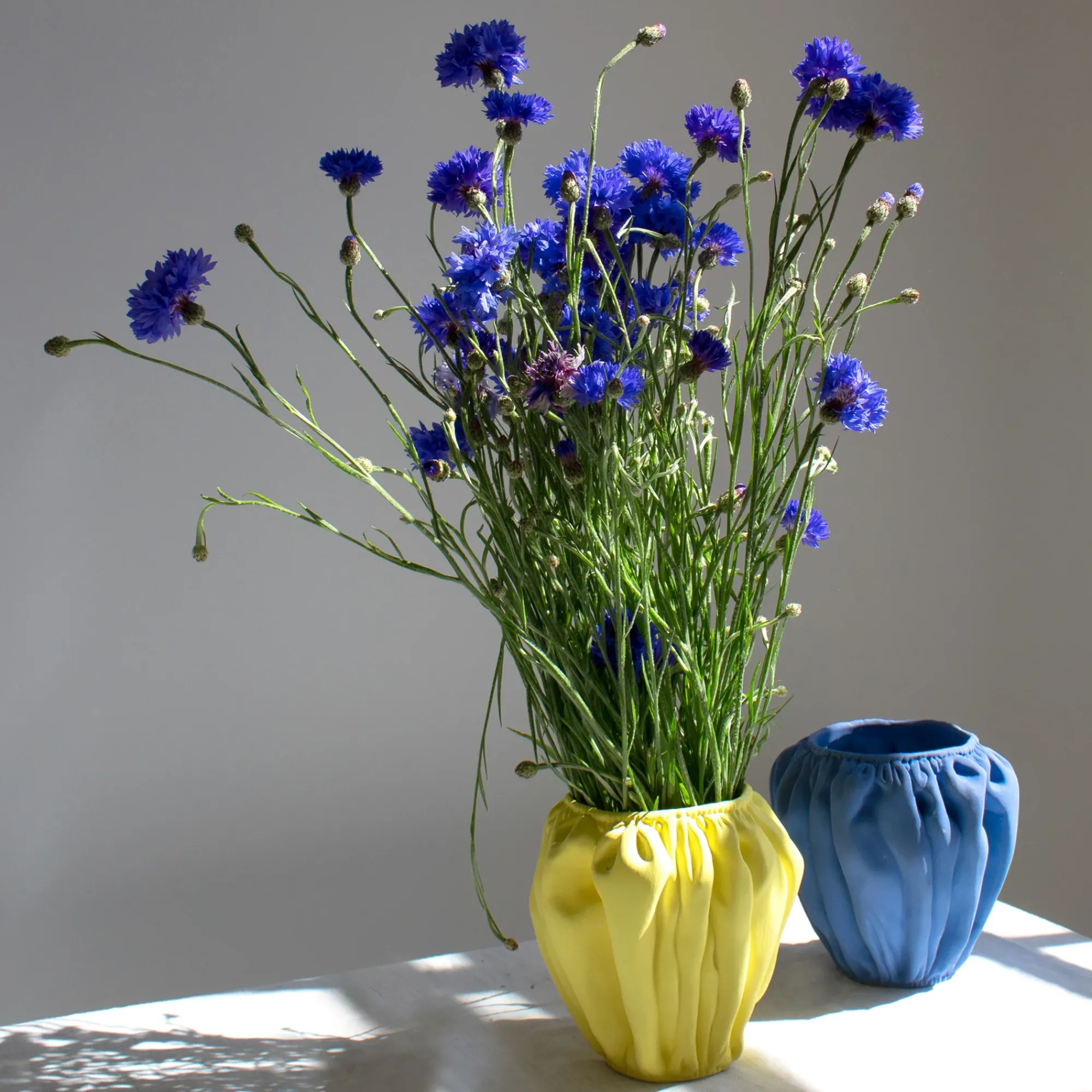 Anissa Kermiche Swanky-Panky Pot (Lemon) Hot